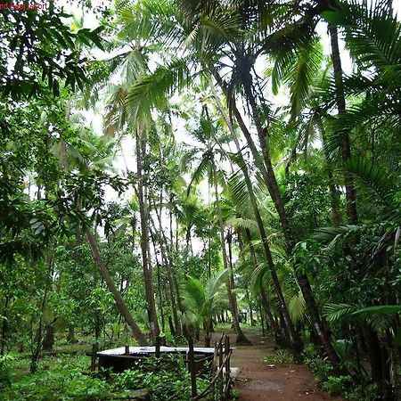 Saaj Resort Dāpoli Buitenkant foto
